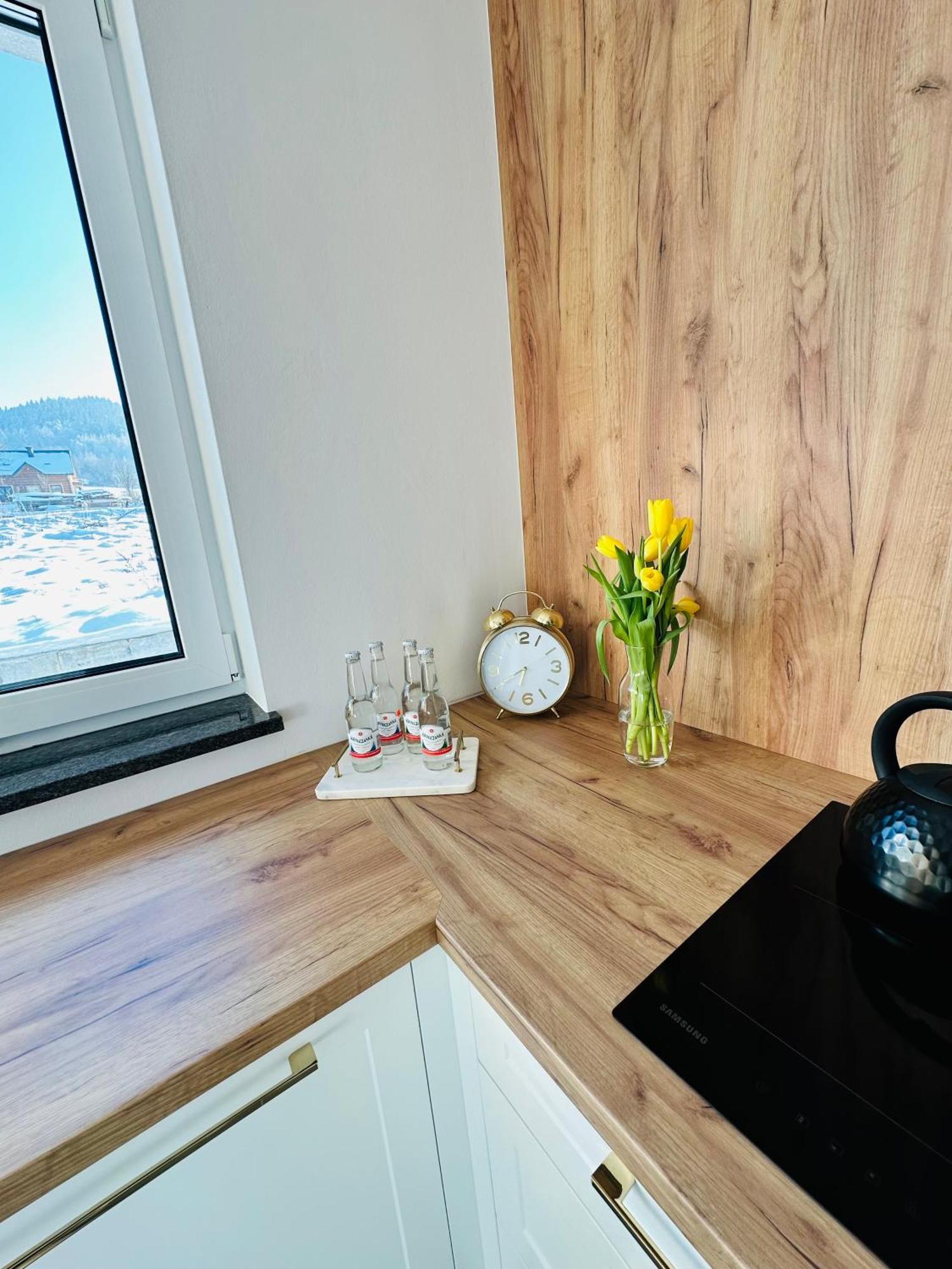 Apartament Krynica-Zdroj - Powroznik - Dom Na Wzgorzu - House On The Hill ムシナ エクステリア 写真